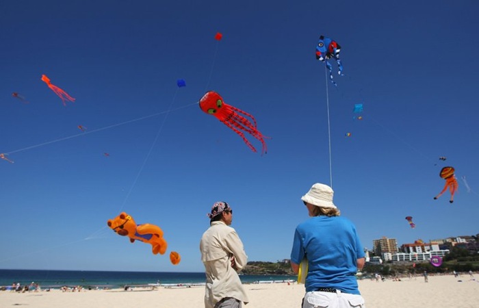 festival-of-the-winds-sydney-kite-festival-amusing-planet
